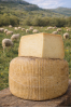 pecorino_stagionato