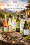 box_mare_e_vento_-_vini_bianchi_cantine_pepi