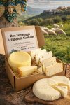 box_formaggi_artigianali_siciliani__gusto_autentico