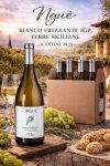 ngu_bianco_frizzante_igp_terre_siciliane_-_cantine_pepi_27118771