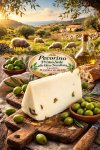 pecorino_primo_sale_alle_olive_nocellara__caseificio_mandra_di_mezzo