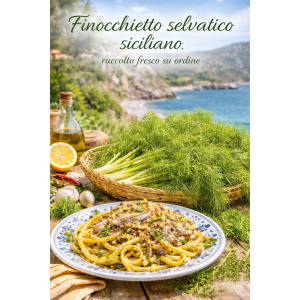 finocchietto_selvatico_siciliano_raccolto_fresco_su_ordine